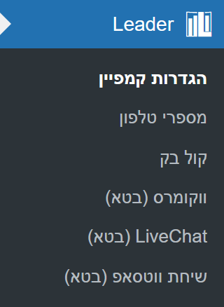 לשונית Leader בניהול וורדפרס