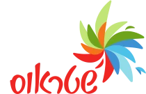 לוגו קבוצת שטראוס